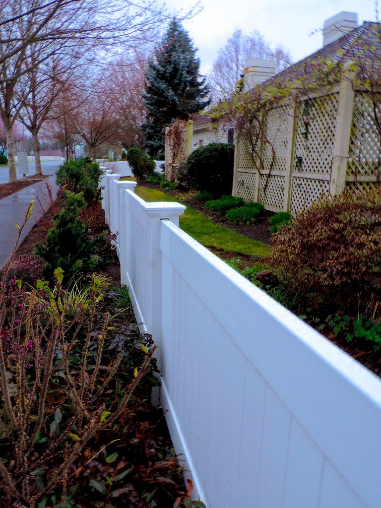White vinyl privacy fence in a residential backyard, shown as a style example of vinyl fencing